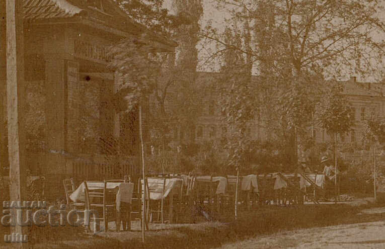 Βουλγαρία, Πλέβεν, Πάρκο Σκομπέλεφ με κήπο-μπουφέ, RPPC με τιμή € 40.00 | 78.23 BGN