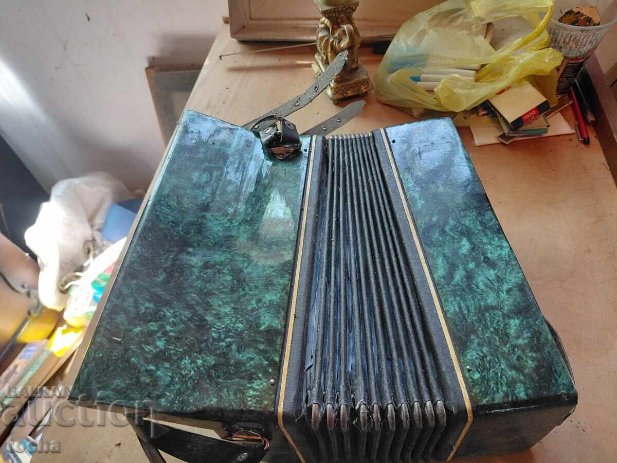 Delivery of Malysh Accordion