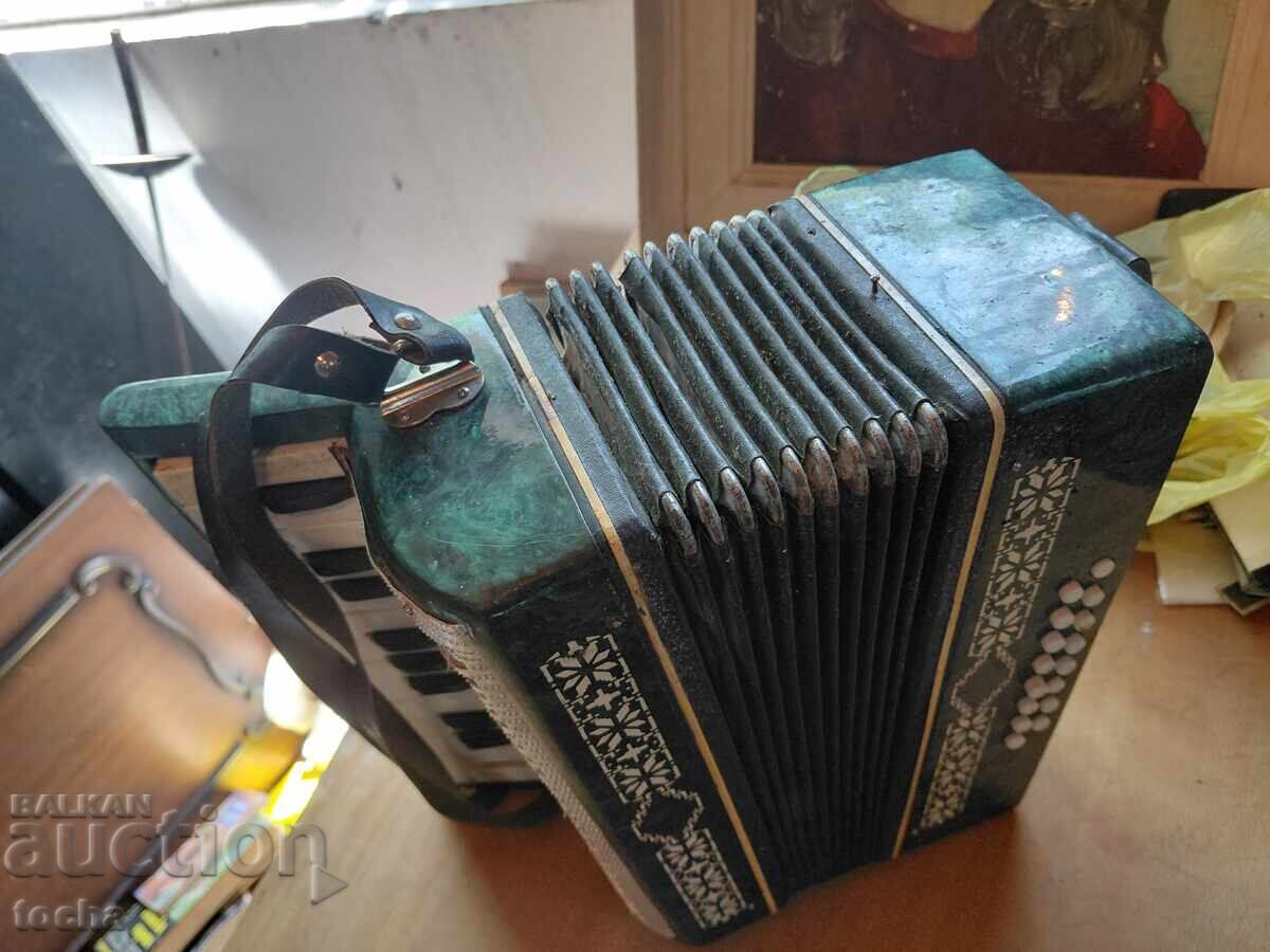 Malysh Accordion - 5