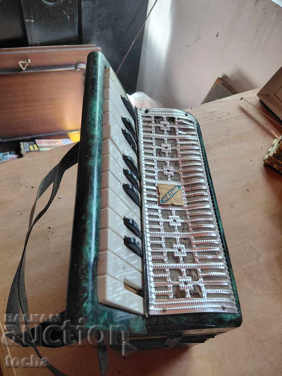 Malysh Accordion - 6