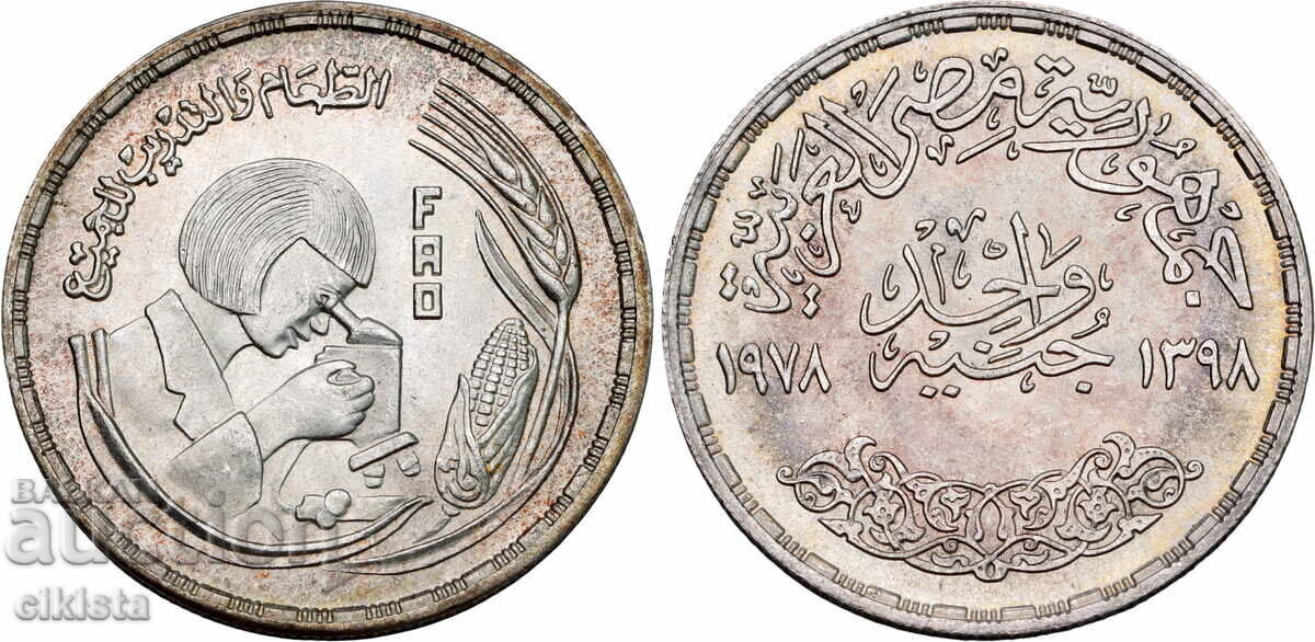 1 Паунд Египет 1978 1 Паунд Египет 1978