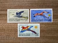 Surinam - Πουλιά - 25η Επέτειος Αεροπορικών...(1971) MNH