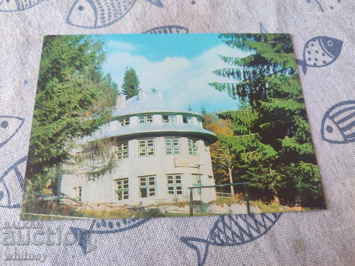 Пирин