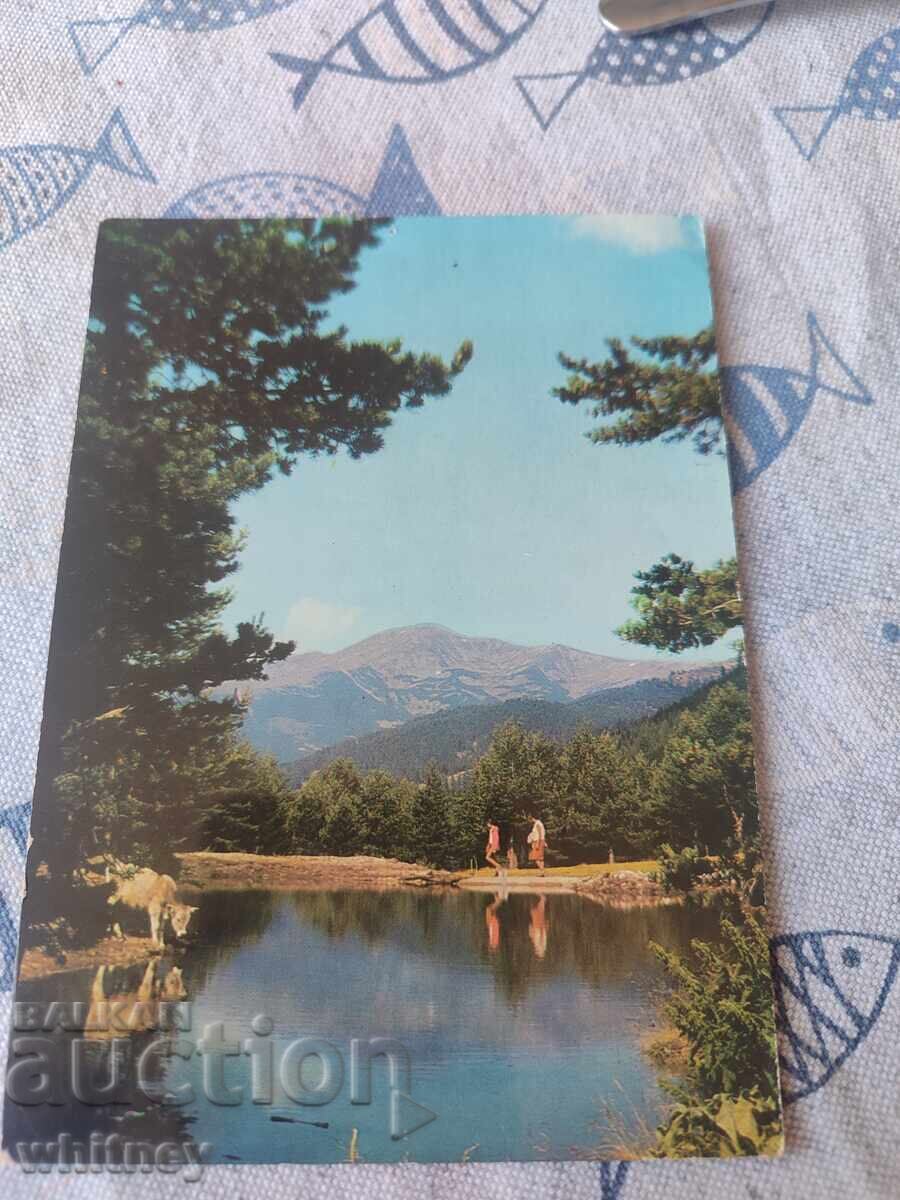 Пирин 2