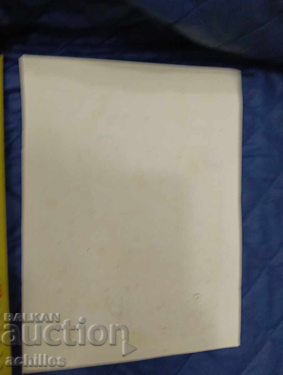 Πίνακας Petar Nenov με τιμή € 10.00 | 19.56 BGN