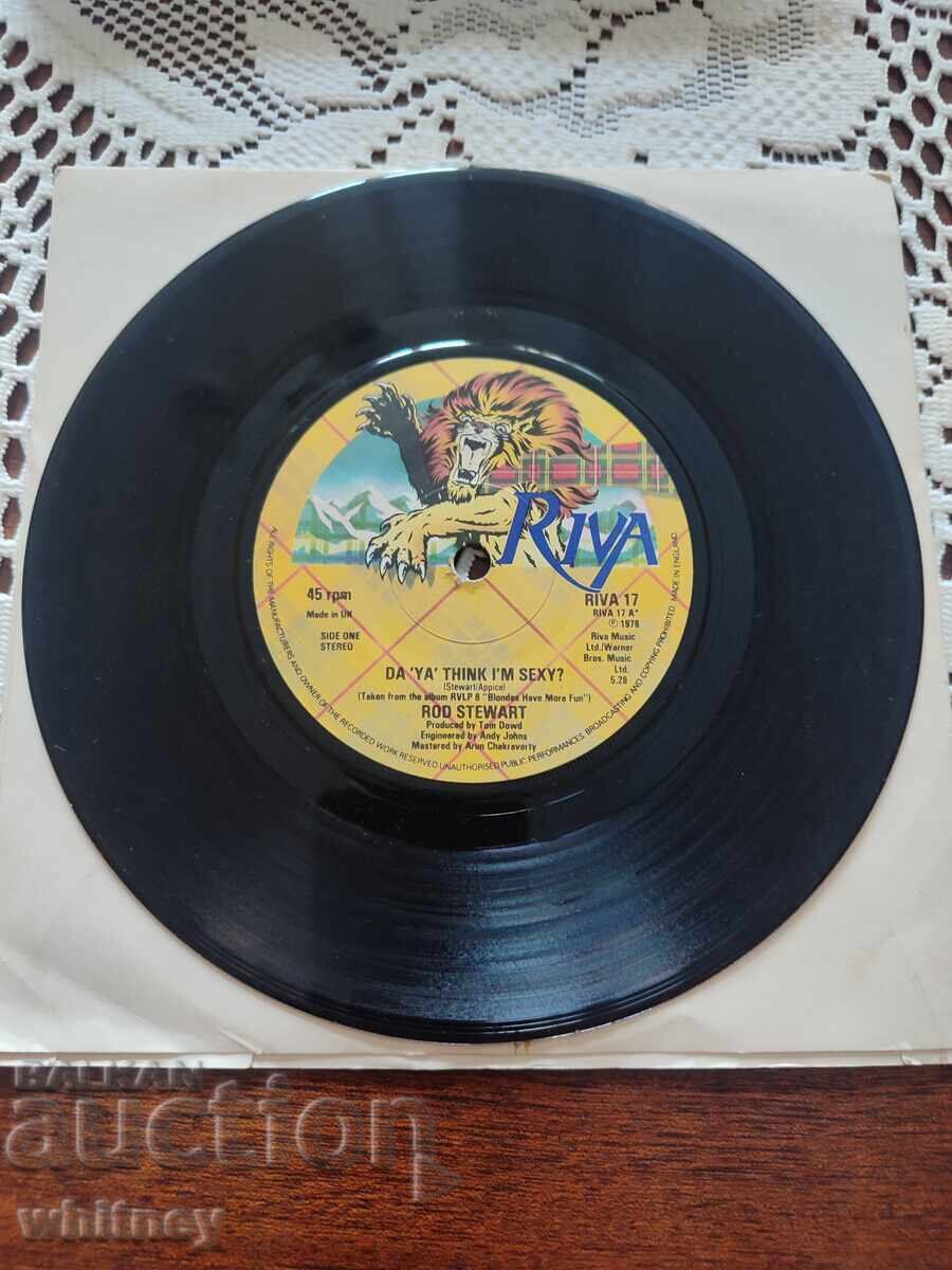 Disc de vinil mic Rod Stewart cu preț € 9.99 | 19.54 BGN