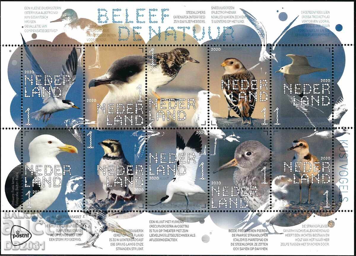 Κάτω Χώρες 2020 - πτηνά MNH