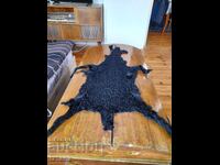 Vintage lambskin, Astrakhan