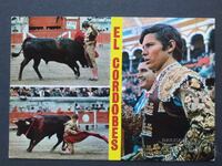 Bullfight Spain