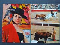 Bullfight Spain