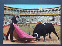 Bullfight Spain