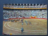 Bullfight Spain