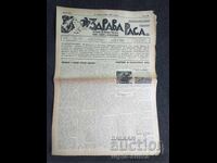 1937 RASĂ SĂNĂTOASĂ