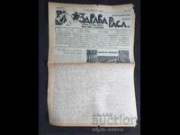 1937 RASĂ SĂNĂTOASĂ