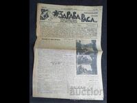 1937 RASĂ SĂNĂTOASĂ