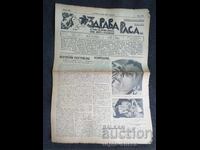 1937 RASĂ SĂNĂTOASĂ