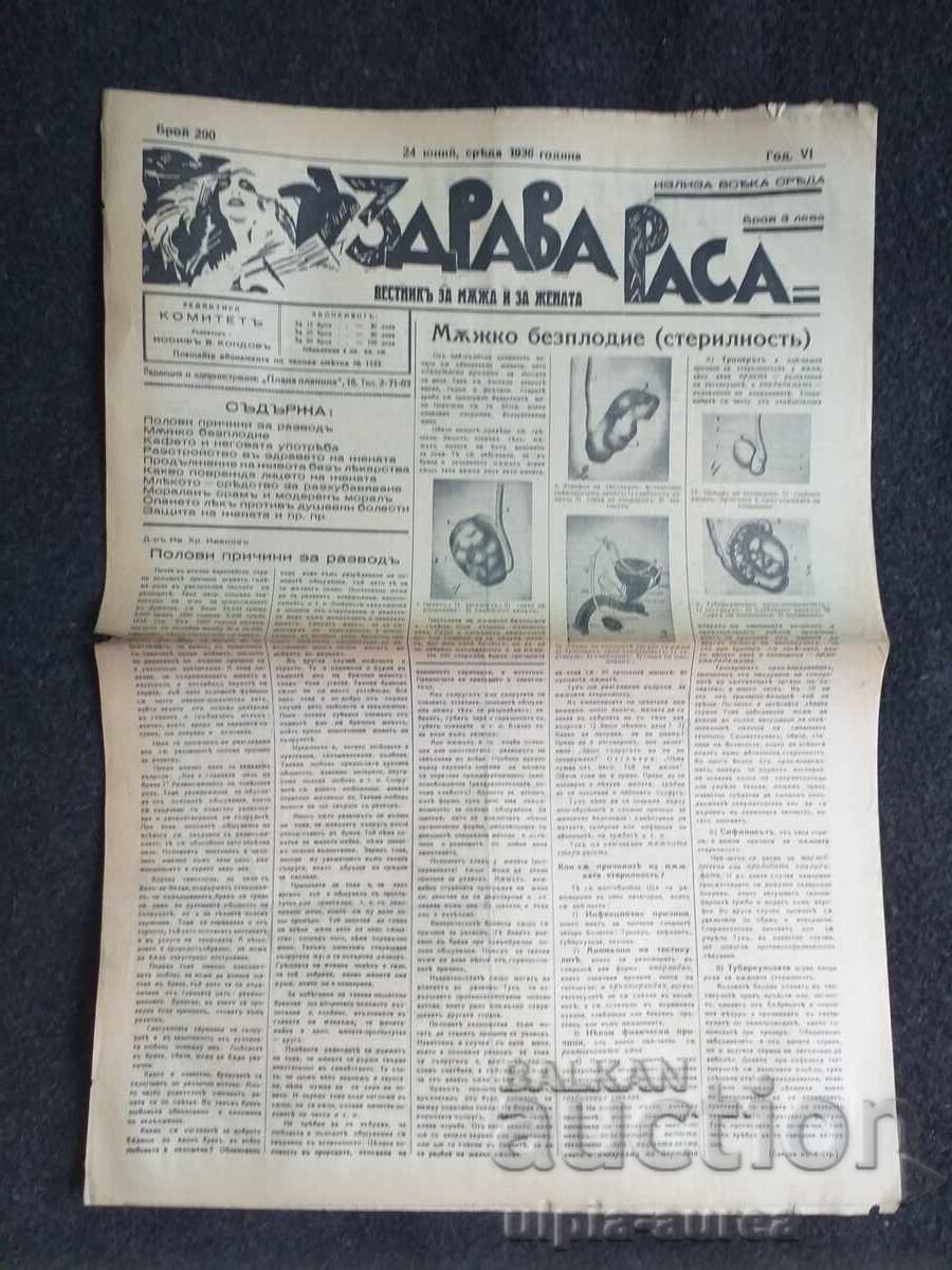 1936 RASĂ SĂNĂTOASĂ 1936 RASĂ SĂNĂTOASĂ
