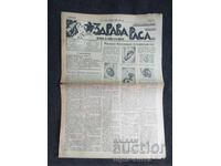 1936 HEALTHY RACE