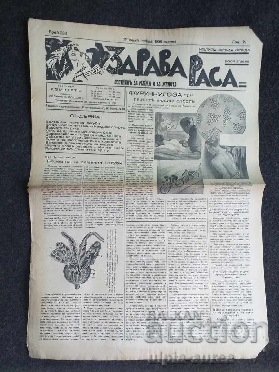 1936 RASĂ SĂNĂTOASĂ 1936 RASĂ SĂNĂTOASĂ