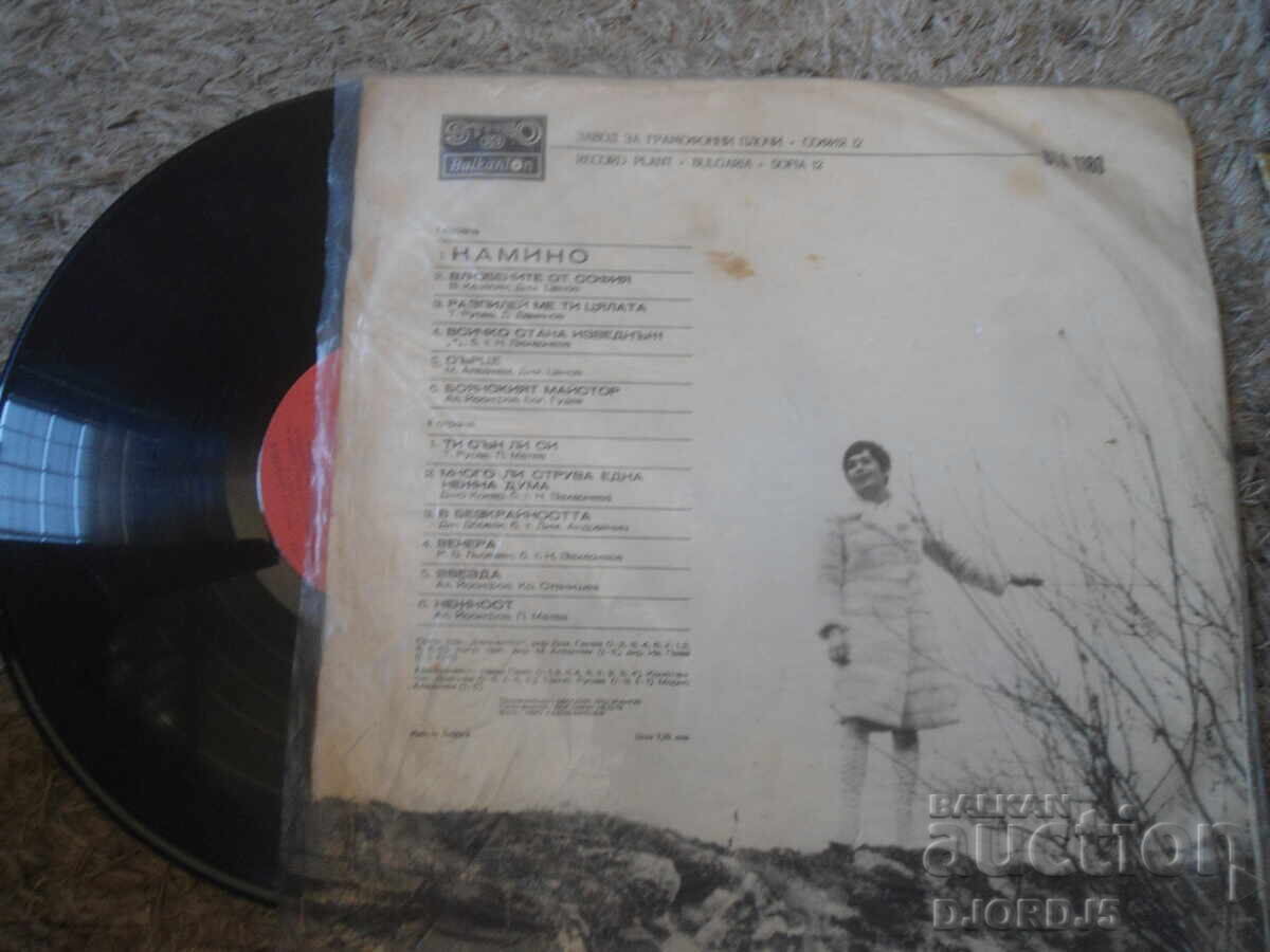 Livrarea VTA 1180, Lili Ivanova, Camino, Disc de vinil, mare