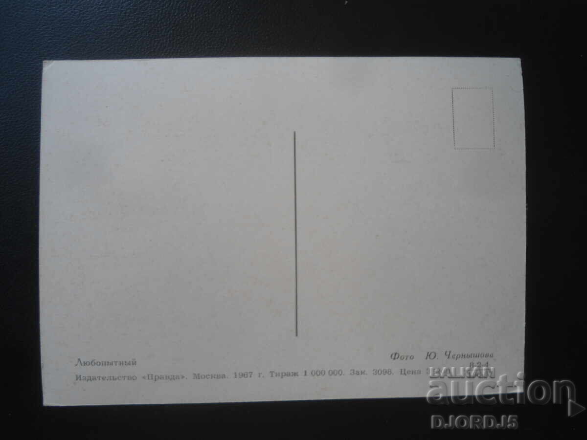Carte poștală rusească veche, Curiosul cu preț € 0.50 | 0.98 BGN Carte poștală rusească veche, Curiosul cu preț € 0.50 | 0.98 BGN