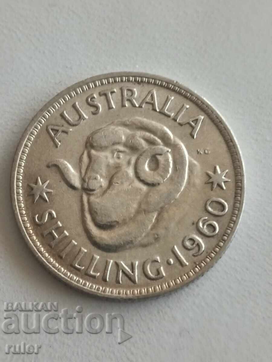Australia 1 shilling 1960 Silver 5.66