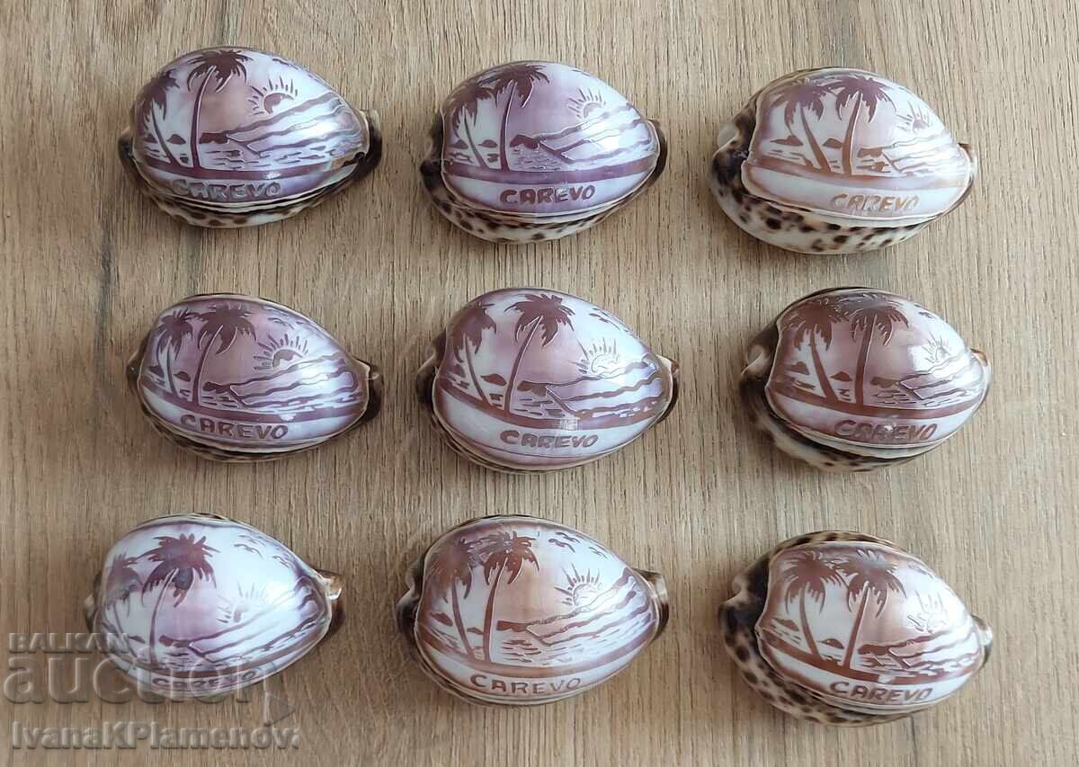 9 engraved seashells for connoisseurs with price € 25.00 | 48.90 BGN
