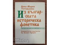FROM BULGARIAN HISTORICAL PHONETICS