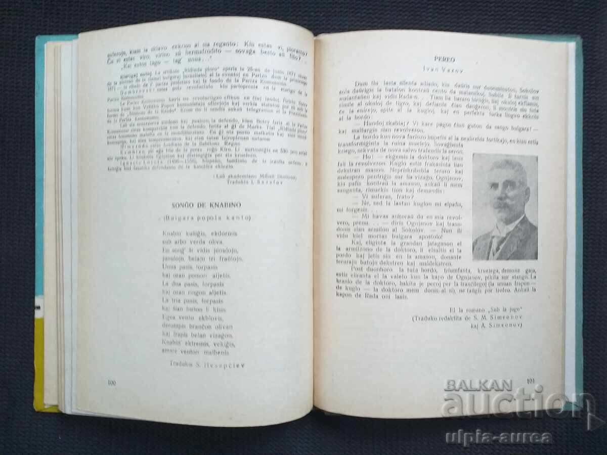 Licitație ESPERANTO ESPERANTO