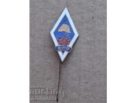 Firefighter enamel chest badge VPO medal pin