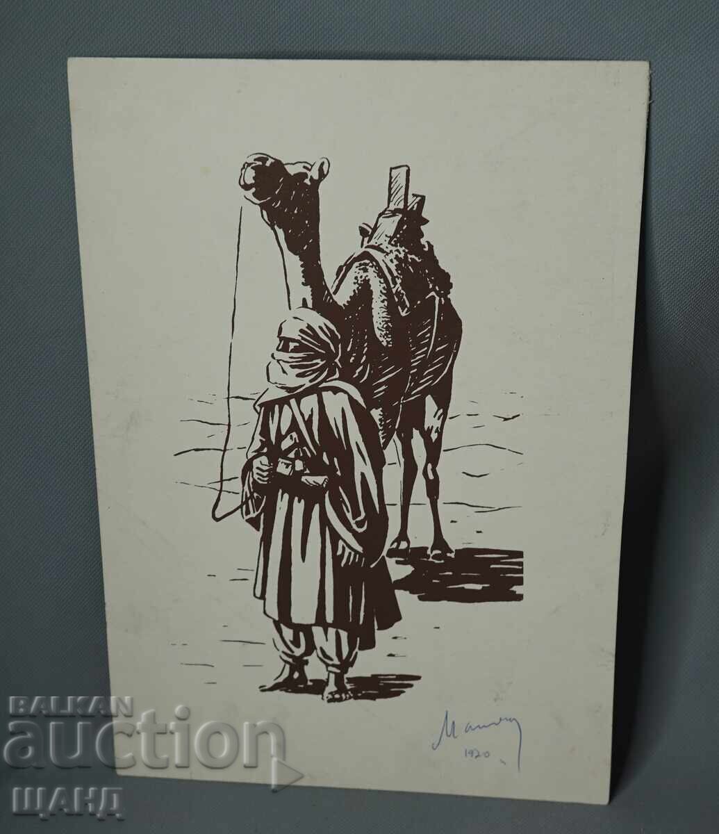 1920 Grafică de maestru desen ilustrație cămilă semnată