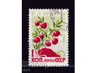 СССР