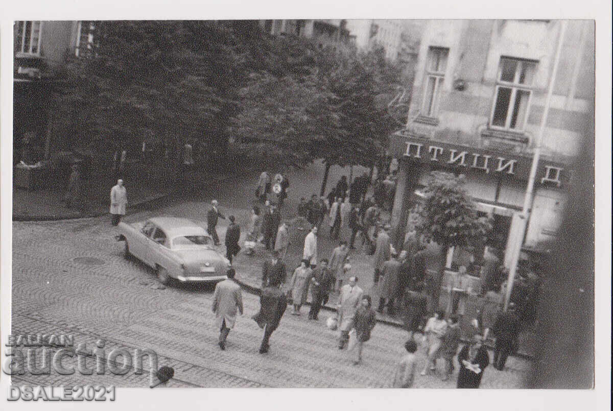 SOFIA fotografie veche bd. Vitosha și str. V. Kolarov anii '60
