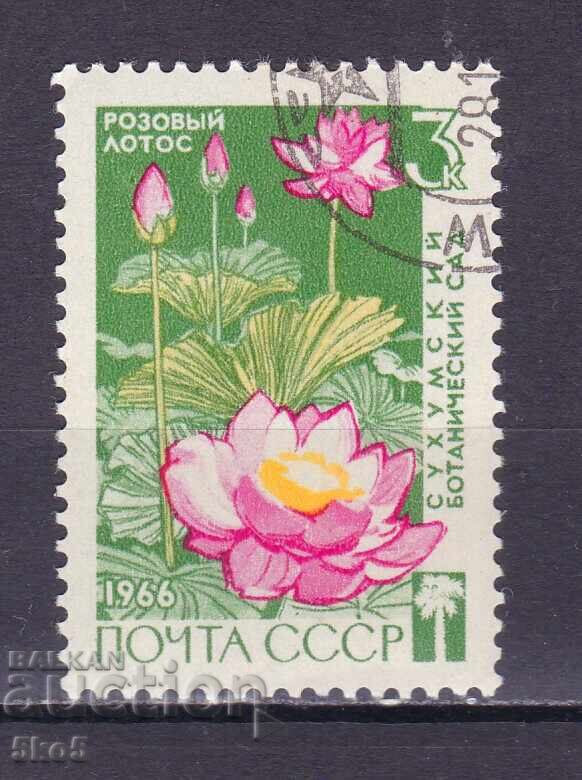 СССР