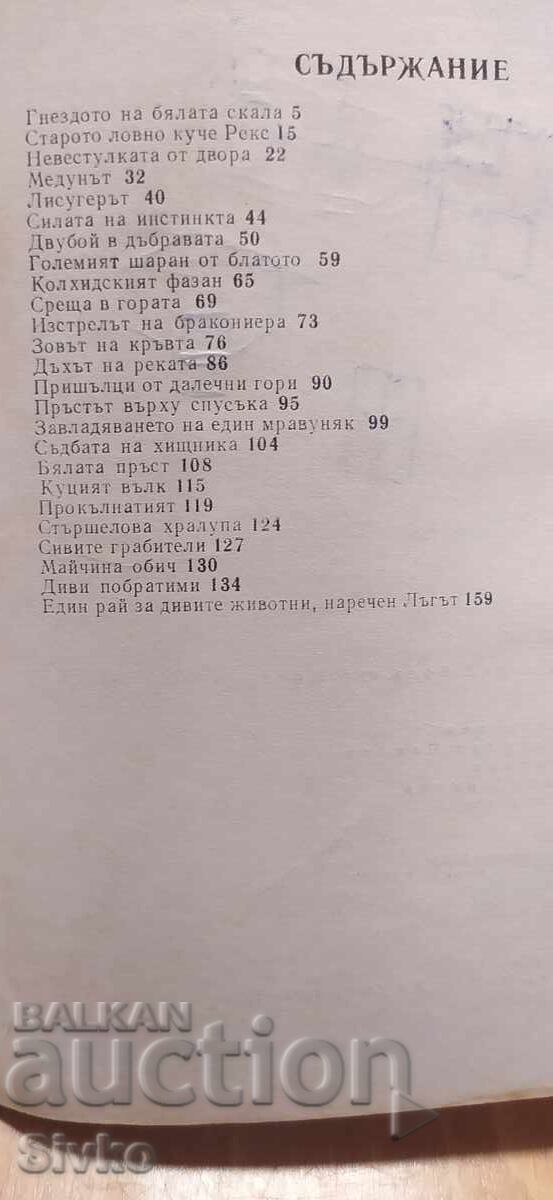 Аукцион Мълчаливи познайници, Ради Царев, илюстрации Аукцион Мълчаливи познайници, Ради Царев, илюстрации