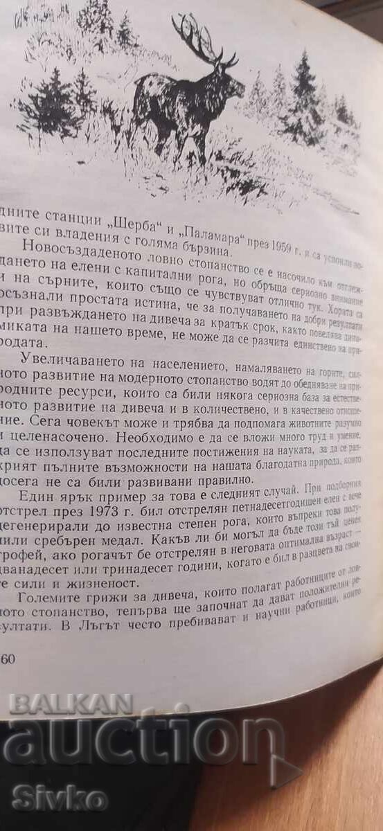 Мълчаливи познайници, Ради Царев, илюстрации - 5 Мълчаливи познайници, Ради Царев, илюстрации - 5
