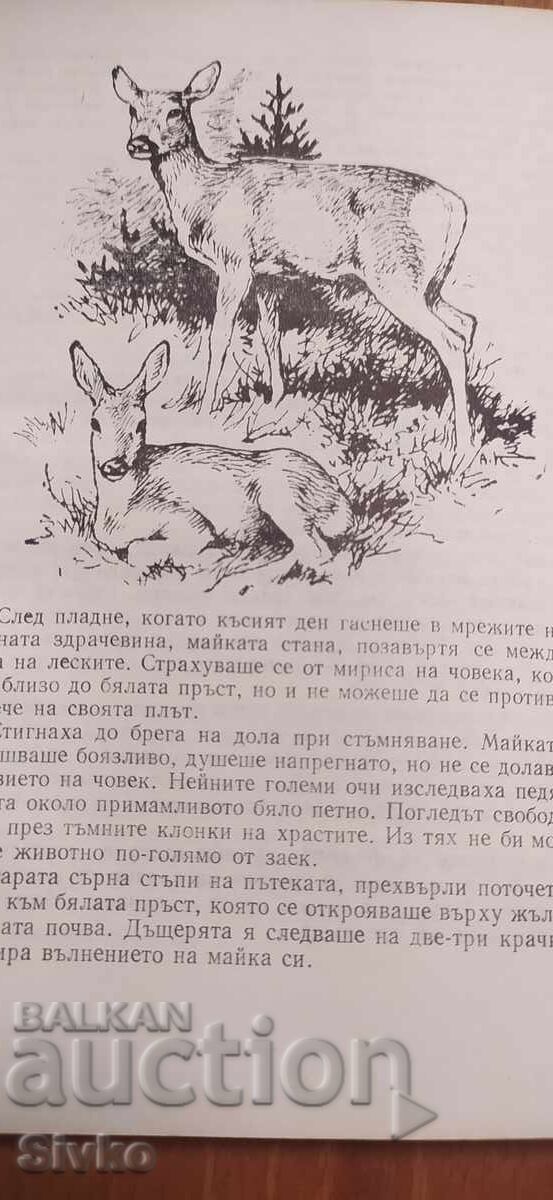 Мълчаливи познайници, Ради Царев, илюстрации - 6 Мълчаливи познайници, Ради Царев, илюстрации - 6