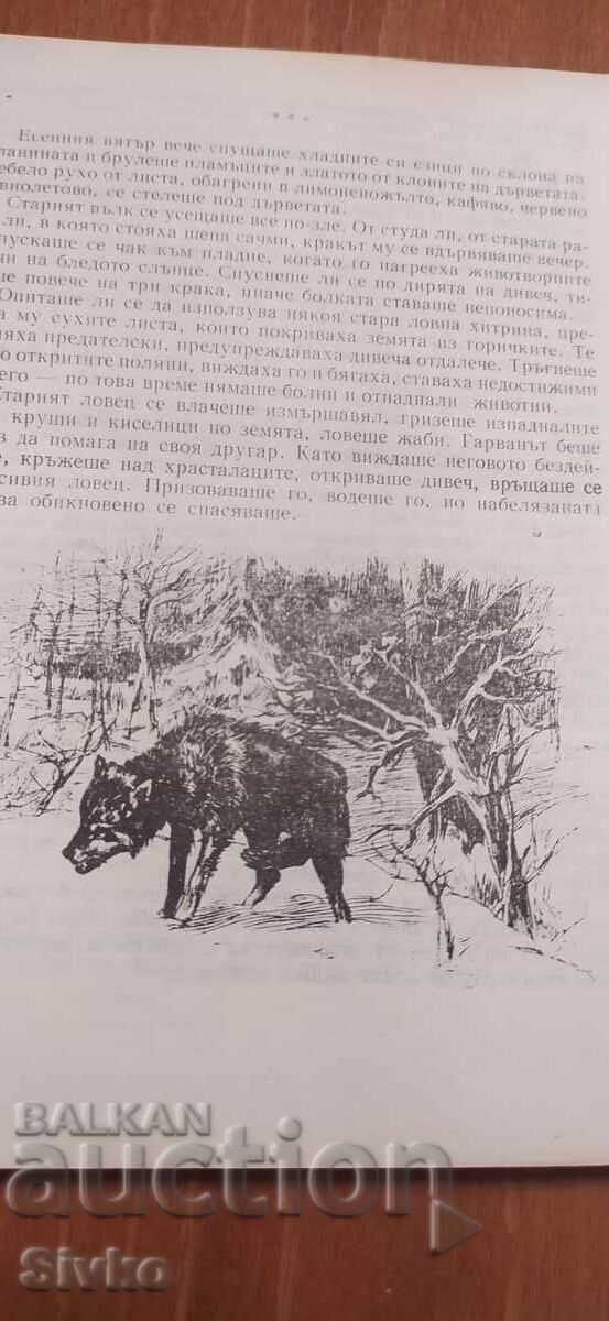 Мълчаливи познайници, Ради Царев, илюстрации - 7 Мълчаливи познайници, Ради Царев, илюстрации - 7