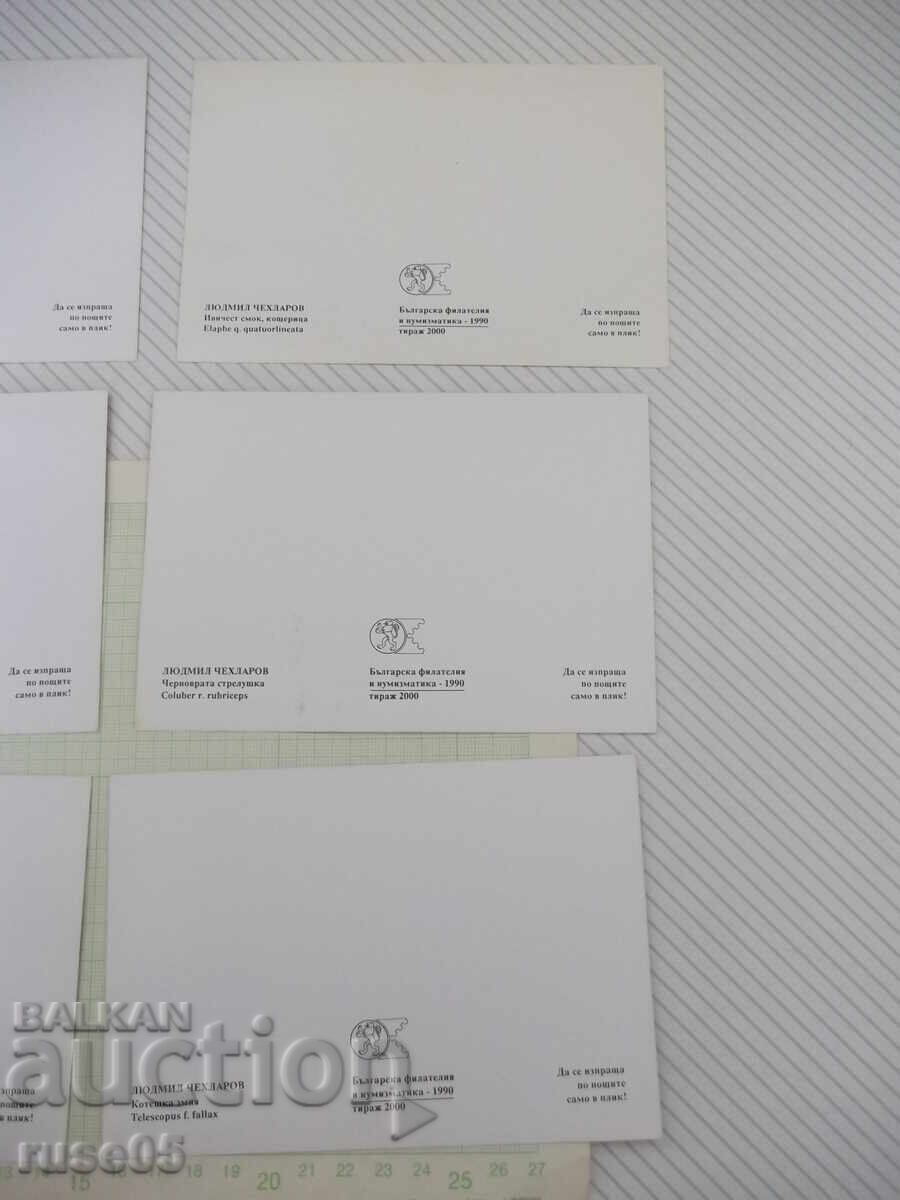 Lot of 6 new postcards with snakes and grass snakes - 6 Lot of 6 new postcards with snakes and grass snakes - 6