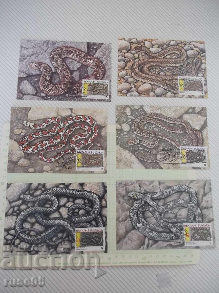 Lot of 6 new postcards with snakes and grass snakes Lot of 6 new postcards with snakes and grass snakes