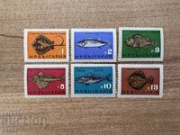 Bulgaria - Black Sea Fish (1965) MNH