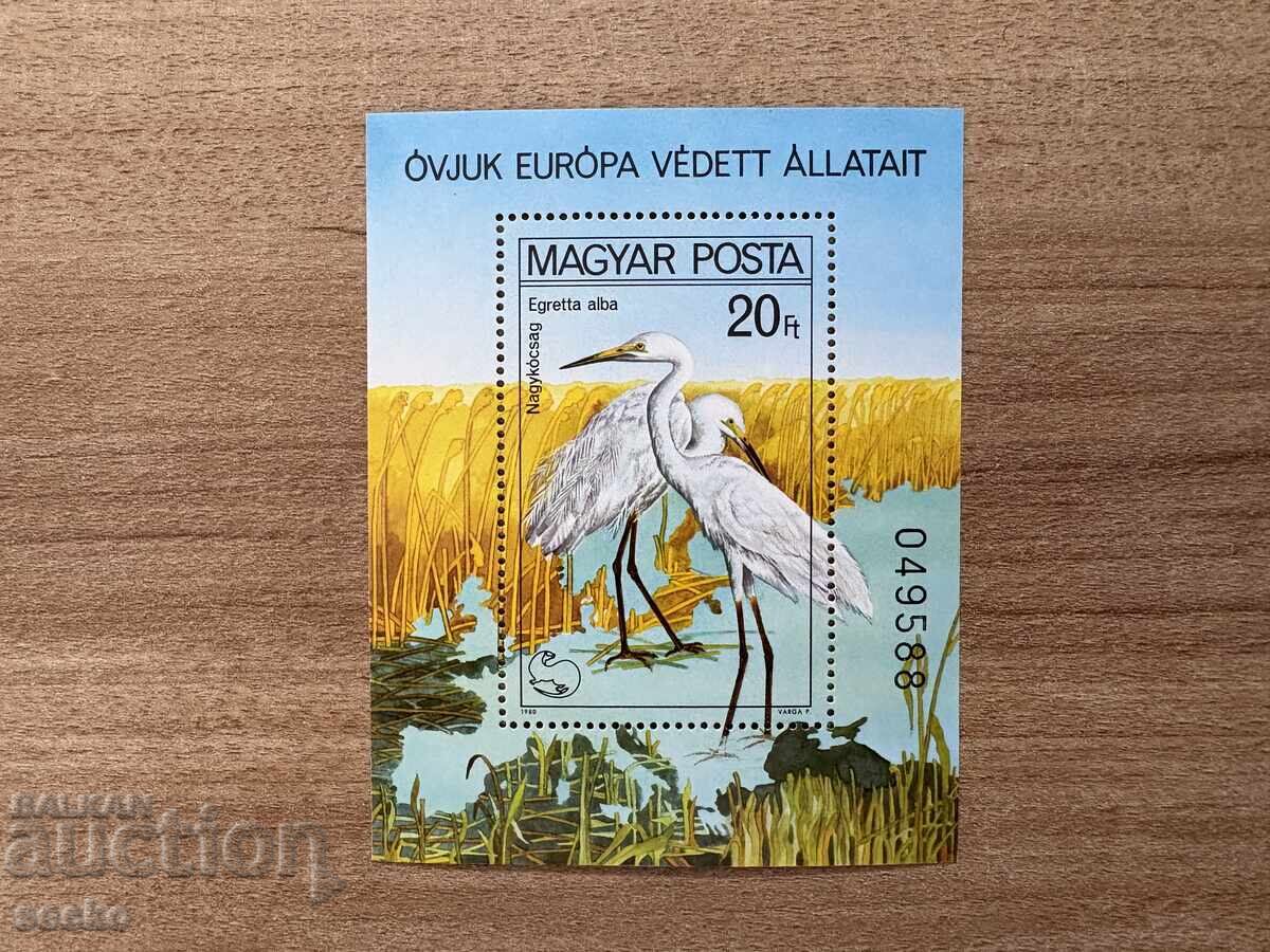 Ungaria - Păsări - Campania europeană pentru protecția... (1980) MNH