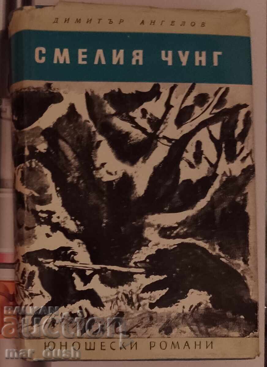 Curajosul Chung. Lectură pentru adolescenți