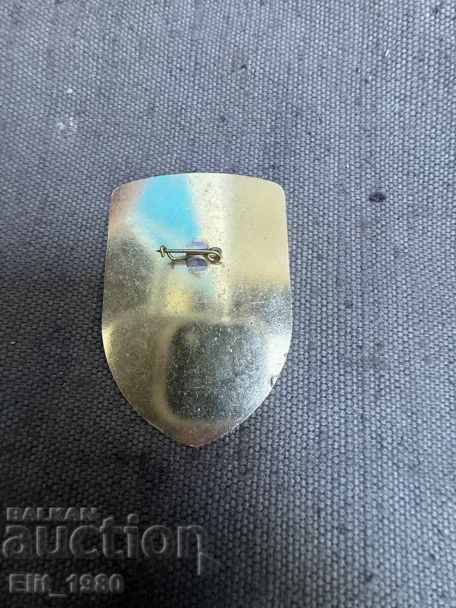 INSIGNIA CEI DIVIZIUNEI A 2-A AERIENE SI AERIENE A BNA cu preț € 12.00 | 23.47 BGN
