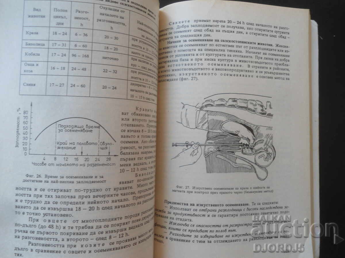 Breeding of farm animals with price € 2.50 | 4.89 BGN