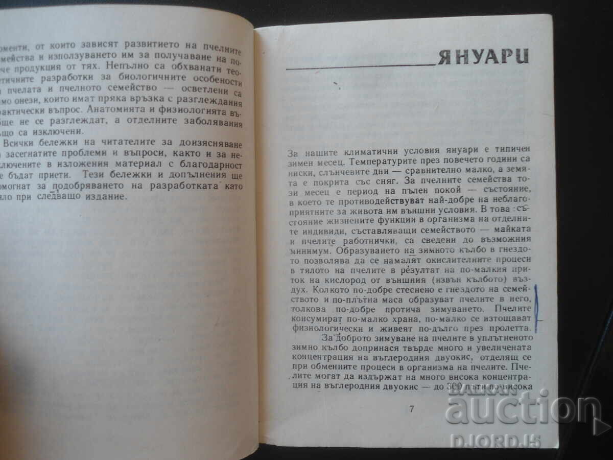 Auction Beekeeper's Calendar, V. Velichkov Auction Beekeeper's Calendar, V. Velichkov