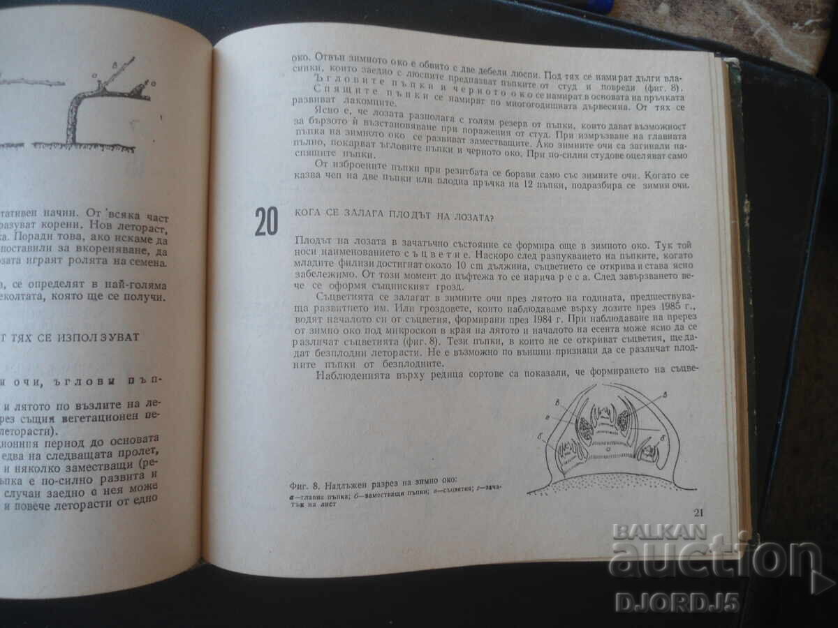 Доставка на 288 съвета за любителя лозар, Митко Ников Доставка на 288 съвета за любителя лозар, Митко Ников