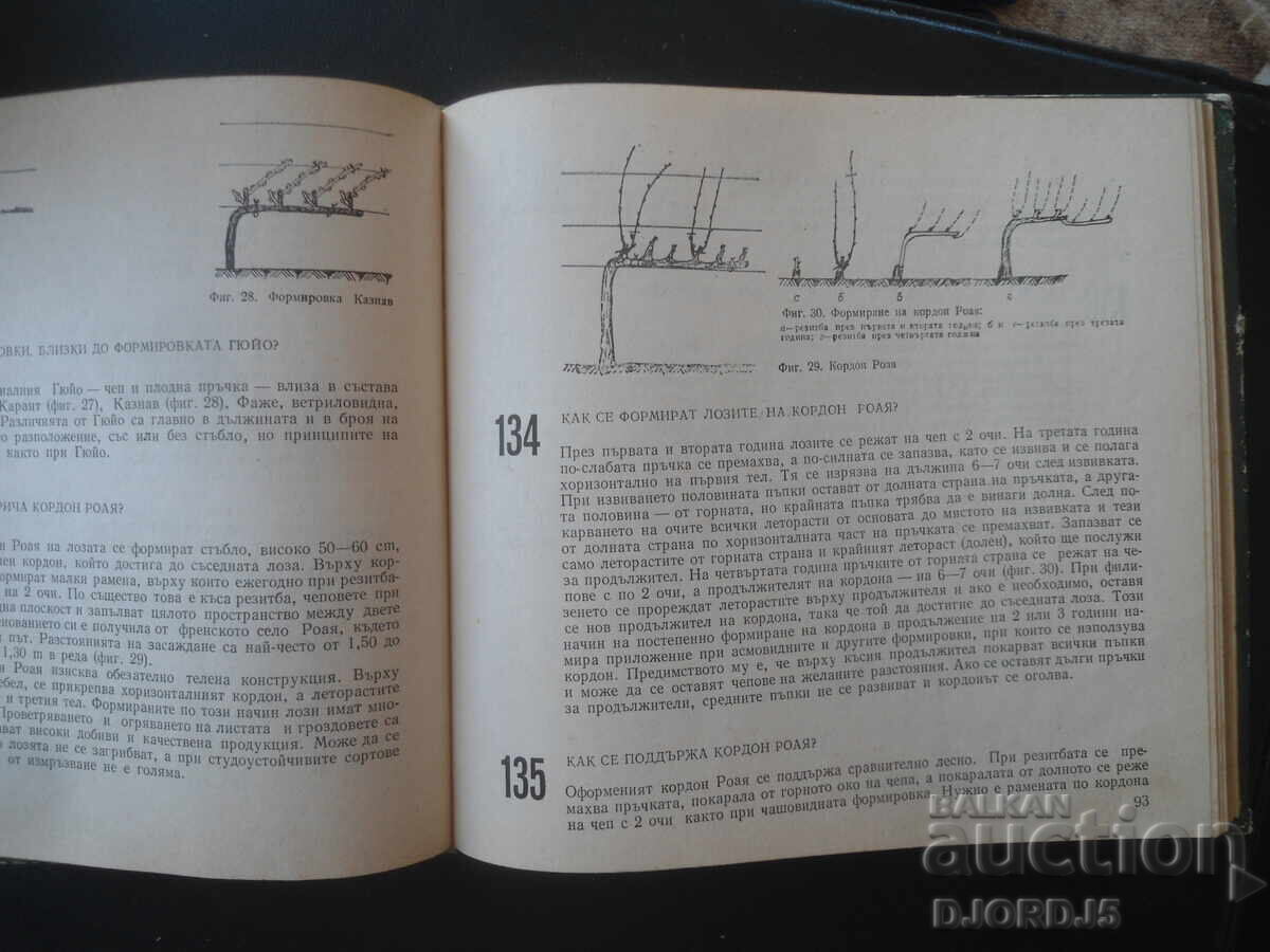 288 съвета за любителя лозар, Митко Ников - 7 288 съвета за любителя лозар, Митко Ников - 7