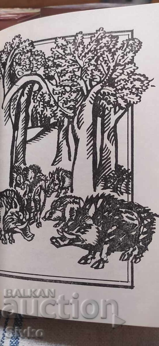 Povestiri cu cozi, Nikolai Haitov, numeroase ilustrații - 5 Povestiri cu cozi, Nikolai Haitov, numeroase ilustrații - 5
