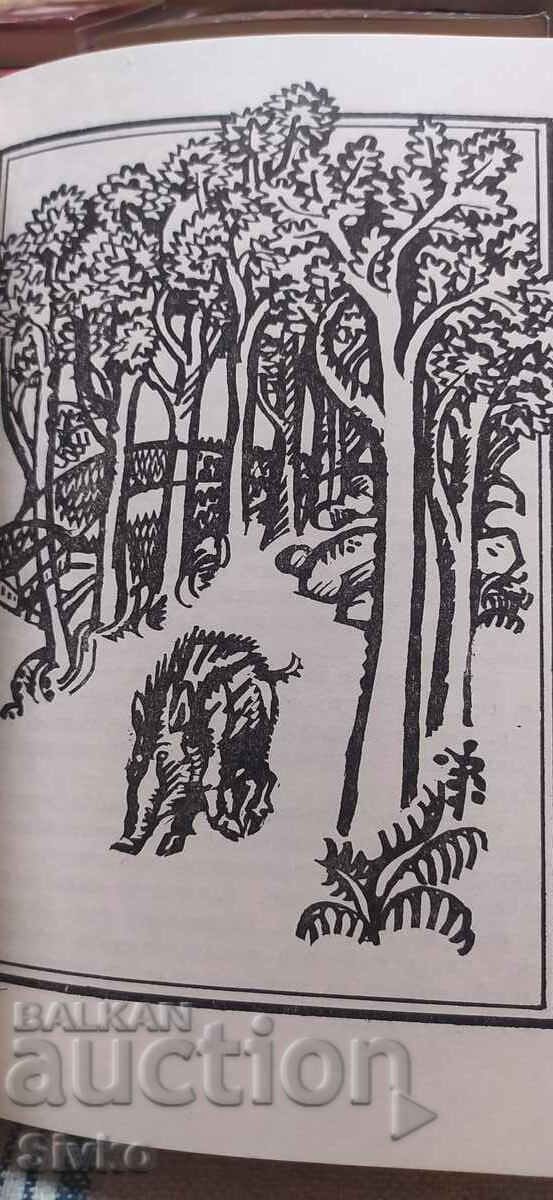 Povestiri cu cozi, Nikolai Haitov, numeroase ilustrații - 6 Povestiri cu cozi, Nikolai Haitov, numeroase ilustrații - 6